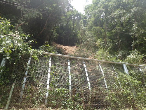 国道180号（法面工詳細設計）