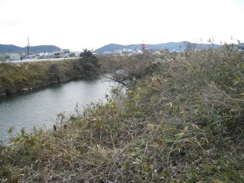 一級河川 砂川（固定堰詳細設計）