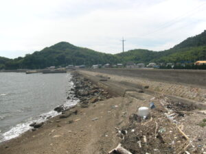 西米崎海岸（止水矢板設計）